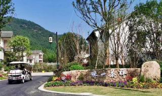 余杭径山茶 余杭径山茶