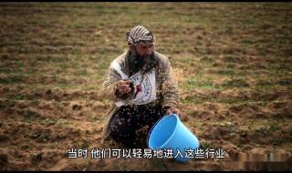 亚西尔阿拉法特 亚西尔阿拉法特